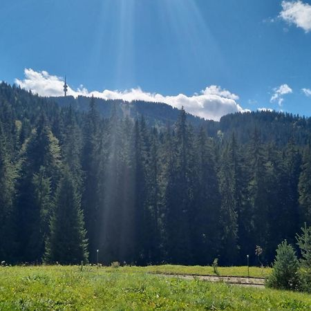 Elit Pamporovo Accommodation Екстер'єр фото
