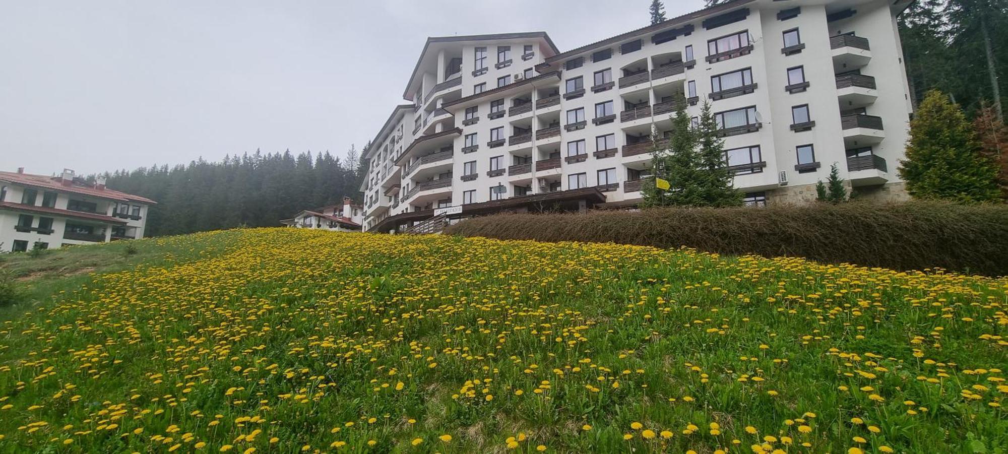 Elit Pamporovo Accommodation Екстер'єр фото