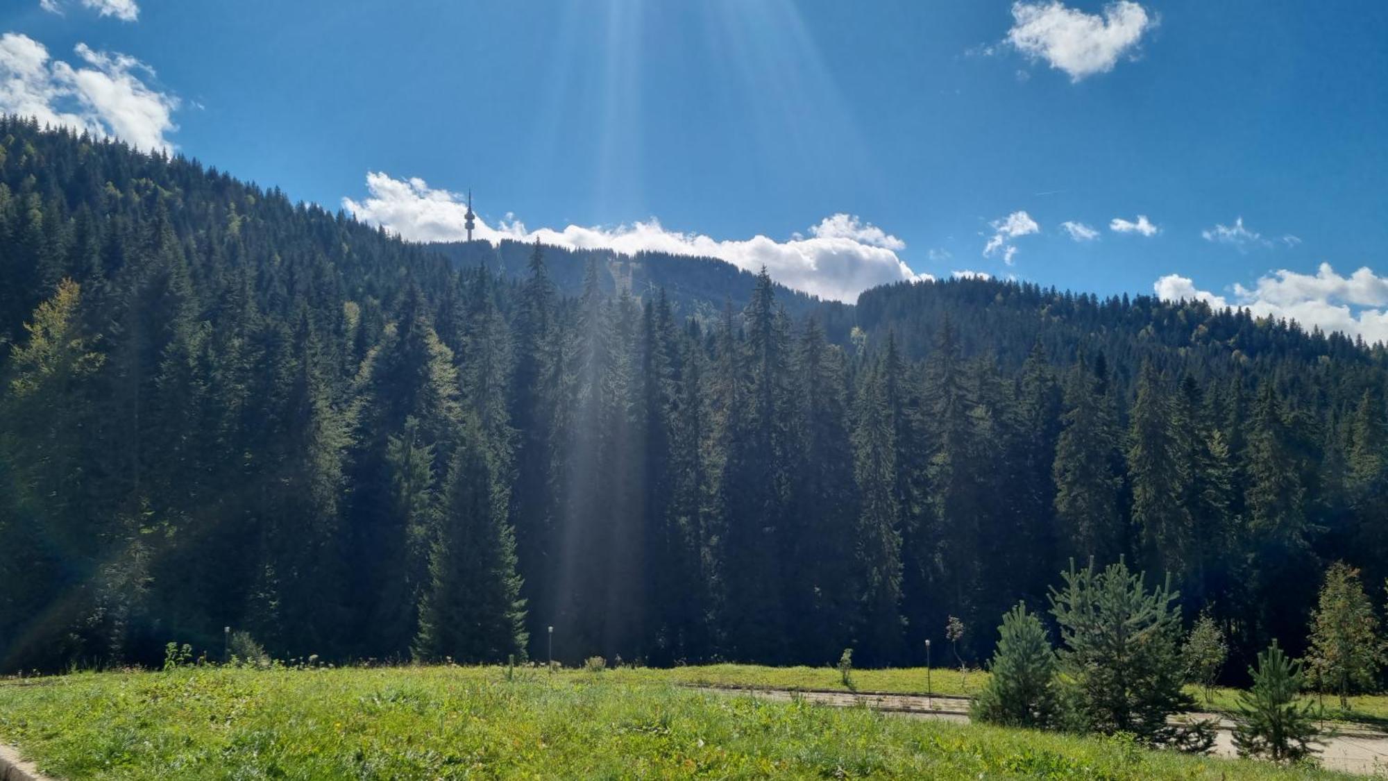 Elit Pamporovo Accommodation Екстер'єр фото